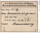 Etiketten zu Calcit (Crinoiden) (NHMW-MIN-At779)